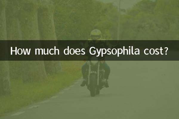 안개꽃의 가격은 얼마인가요?