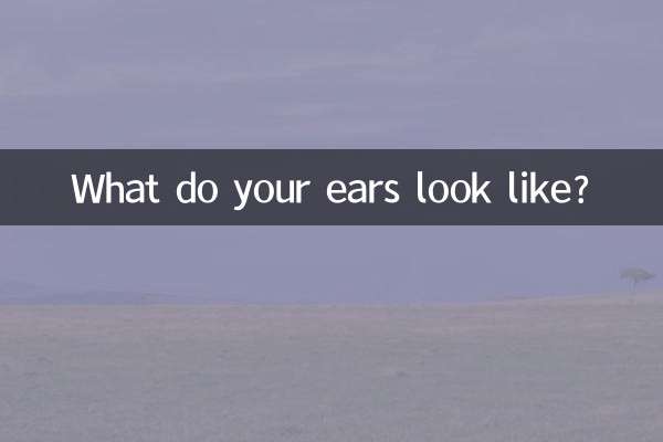 ¿Cómo son tus orejas?
