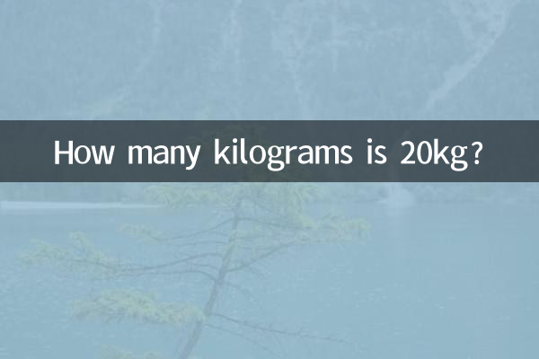 20kgって何キロですか?
