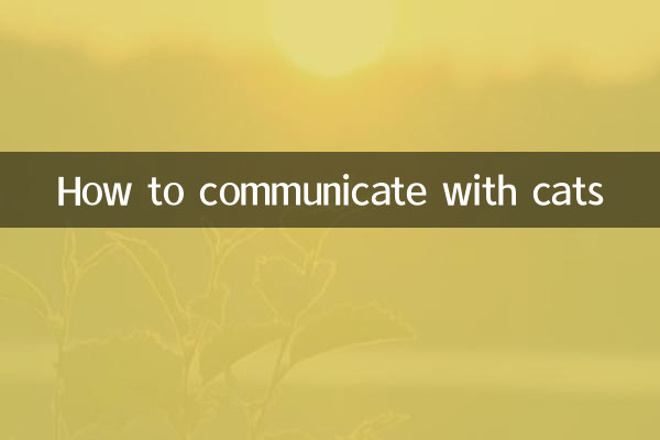 Wie kommuniziert man mit Katzen?