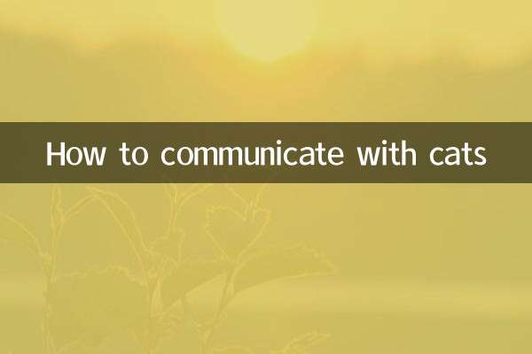 Cómo comunicarse con los gatos