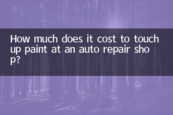 Quanto costa ritoccare la vernice presso un'autofficina?