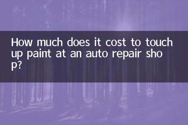 Quanto costa ritoccare la vernice presso un'autofficina?