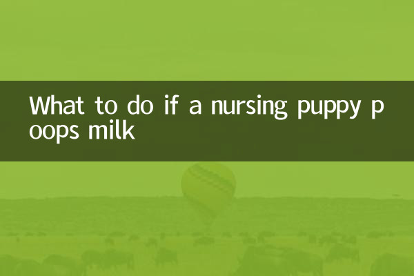 吃奶小狗拉奶怎麼辦
