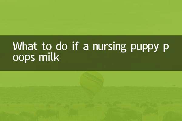 اگر یک توله سگ شیرده شیر دفع کرد چه باید کرد؟