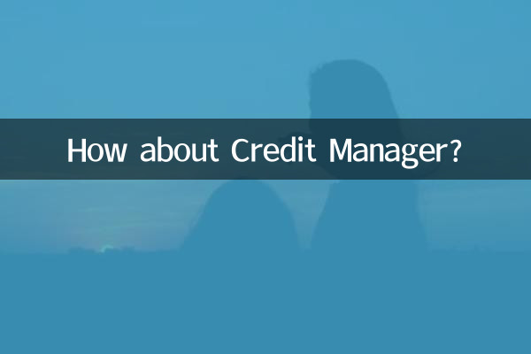 क्रेडिट मैनेजर के बारे में क्या ख्याल है?