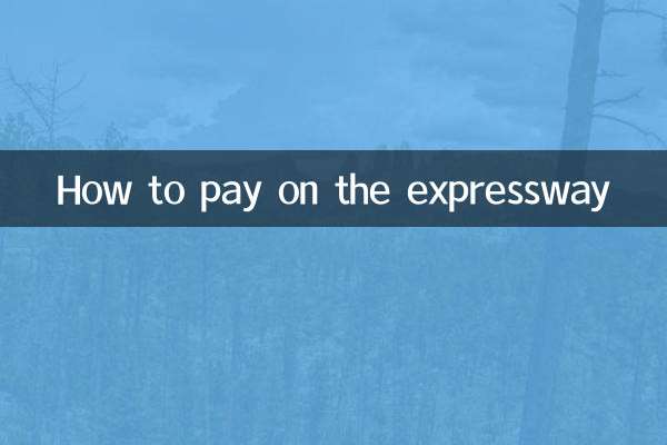 고속도로에서 지불하는 방법