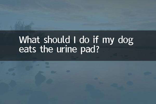 Que dois-je faire si mon chien mange le tampon urinaire ?