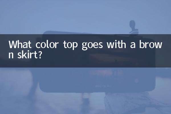 Di che colore si abbina la parte superiore con una gonna marrone?