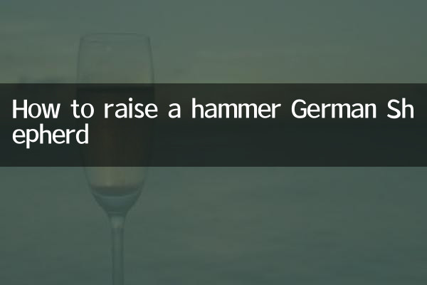 ジャーマン・シェパードのハンマーの上げ方