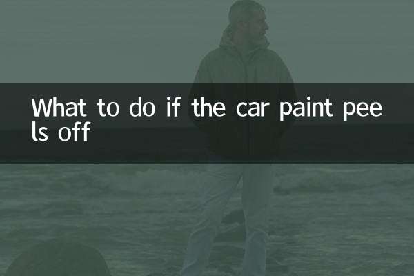 车漆掉了怎么处理