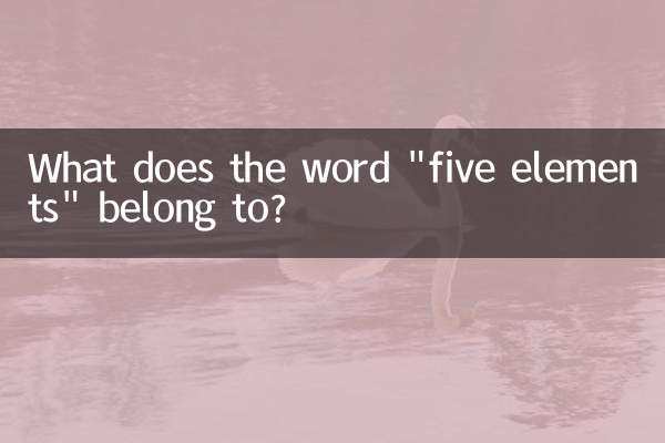 إلى ماذا تنتمي كلمة 