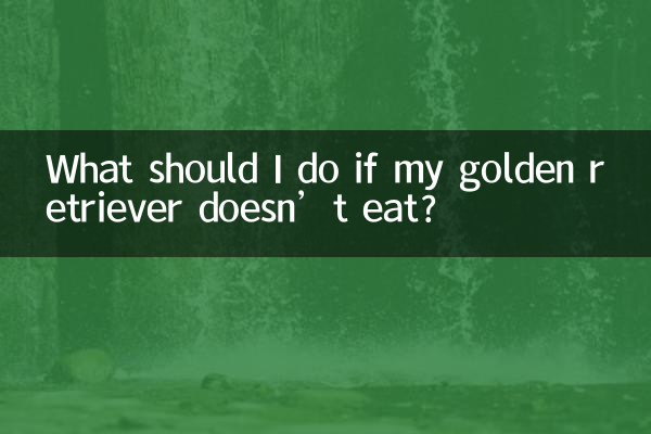 ゴールデンレトリバーが餌を食べない場合はどうすればよいですか?