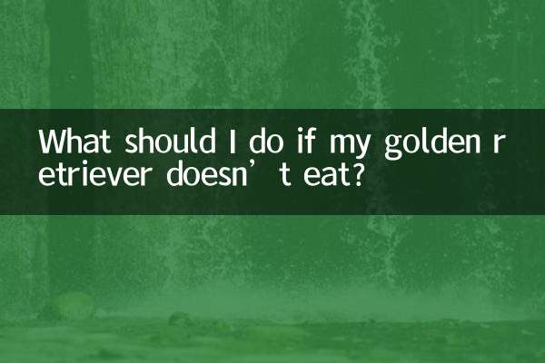 ゴールデンレトリバーが餌を食べない場合はどうすればよいですか?