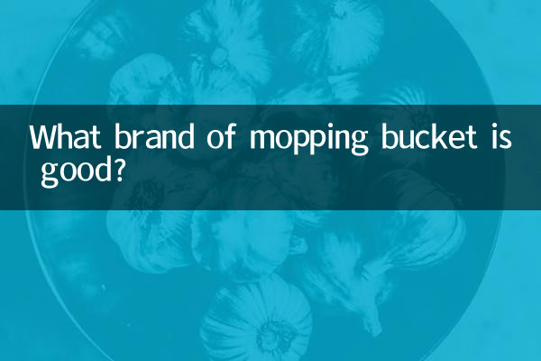 拖地桶什么牌子的好