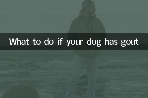 আপনার কুকুরের গাউট হলে কি করবেন