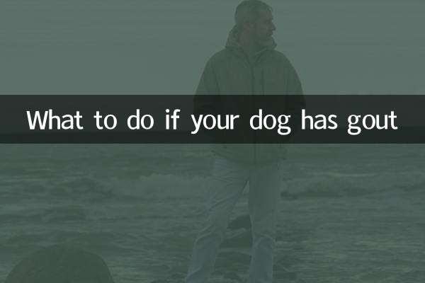 আপনার কুকুরের গাউট হলে কি করবেন
