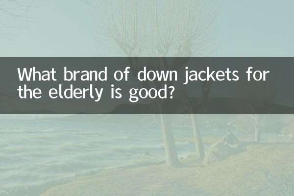 노인용 다운재킷 어떤 브랜드가 좋은가요?