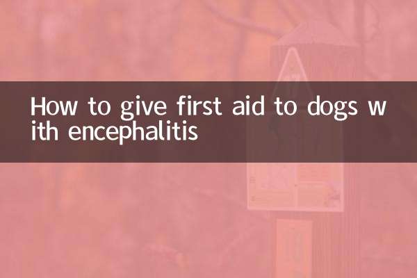 How to give first aid to dogs with encephalitis