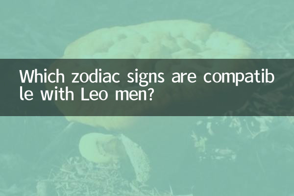 Quels signes du zodiaque sont compatibles avec les hommes Lion ?
