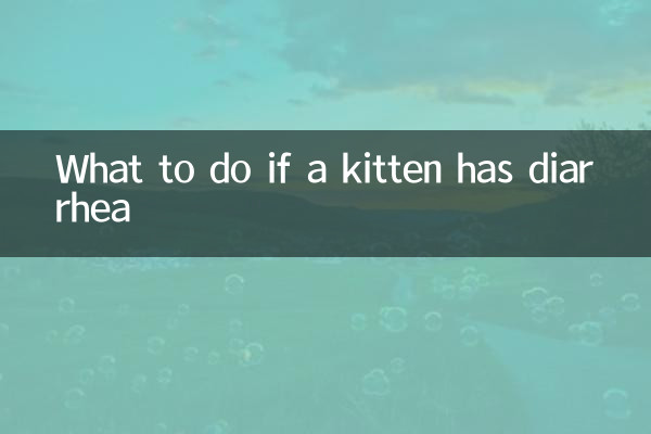 What to do if a kitten has diarrhea