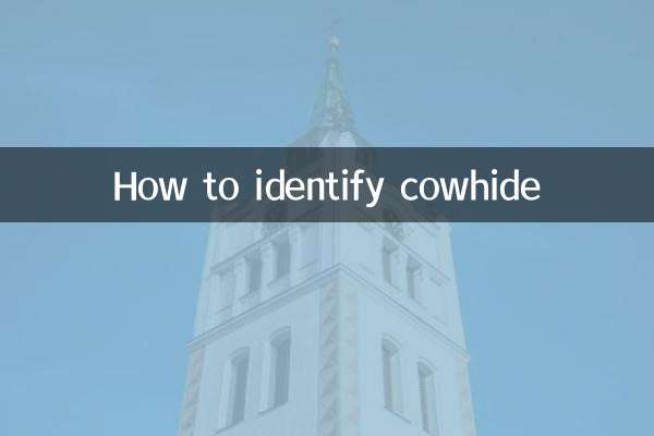 So erkennen Sie Rindsleder