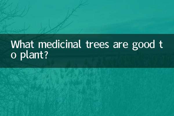 어떤 약용나무를 심으면 좋을까요?