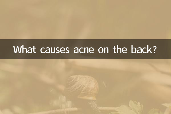 What is the reason for acne on the back?