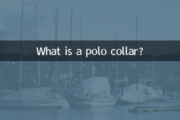 polo领是什么领