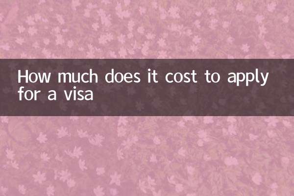 ¿Cuánto cuesta solicitar una visa?