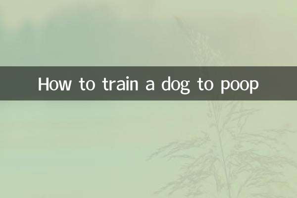 How to train a dog to poop