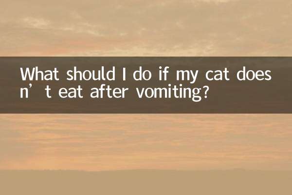 Cosa devo fare se il mio gatto non mangia dopo aver vomitato?