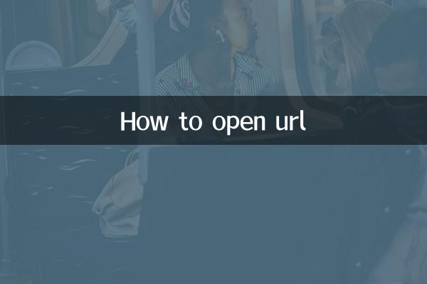url怎么打开