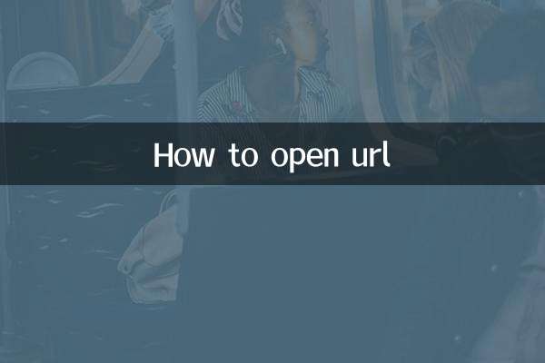 url怎么打开