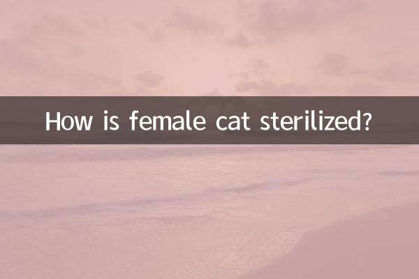 Как стерилизуют кошку?