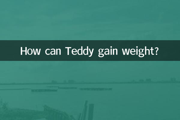 ٹیڈی وزن کیسے بڑھا سکتا ہے؟