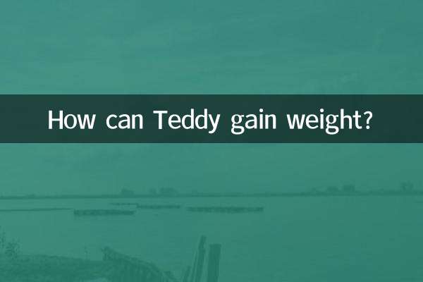 How can Teddy gain weight?