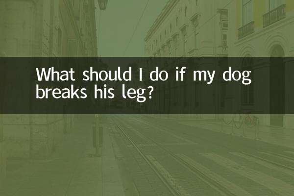 अगर मेरे कुत्ते का पैर टूट जाए तो मुझे क्या करना चाहिए?