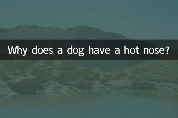 狗鼻子热是怎么回事