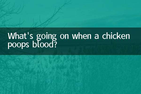 Cosa succede quando un pollo fa la cacca del sangue?