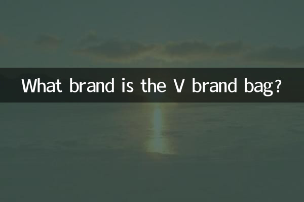 ভি ব্র্যান্ডের ব্যাগটি কোন ব্র্যান্ডের?