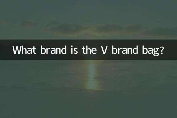 ভি ব্র্যান্ডের ব্যাগটি কোন ব্র্যান্ডের?