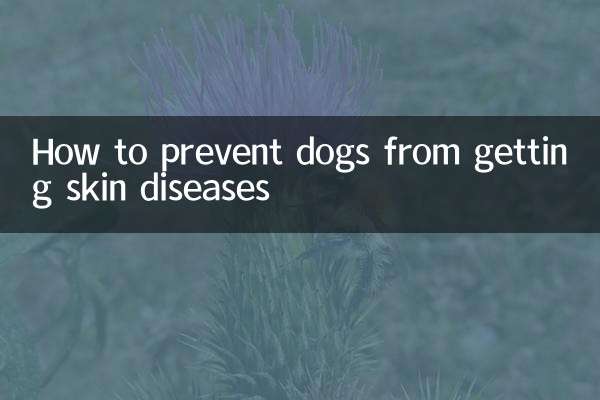 কুকুরকে কীভাবে চর্মরোগ থেকে রক্ষা করা যায়