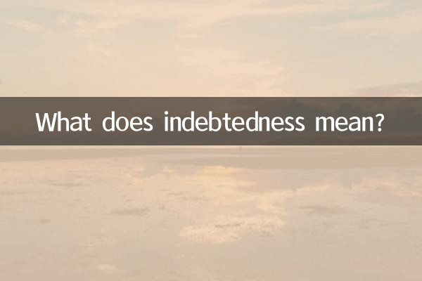 بدهکاری یعنی چه؟