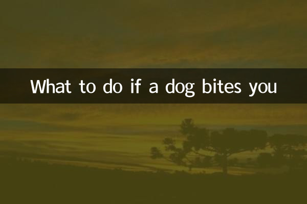 O que fazer se um cachorro te morder