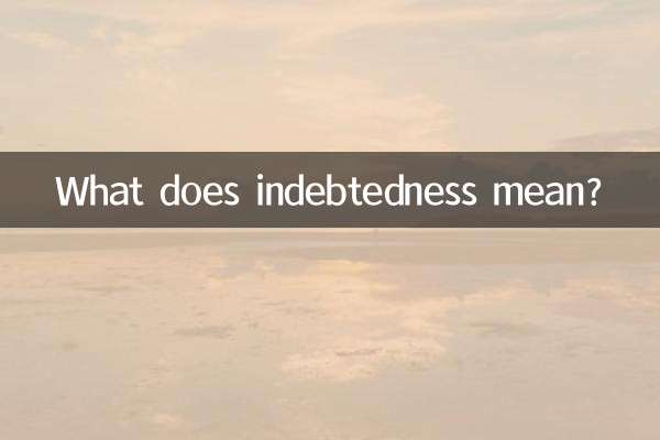 ऋणग्रस्तता का क्या अर्थ है?