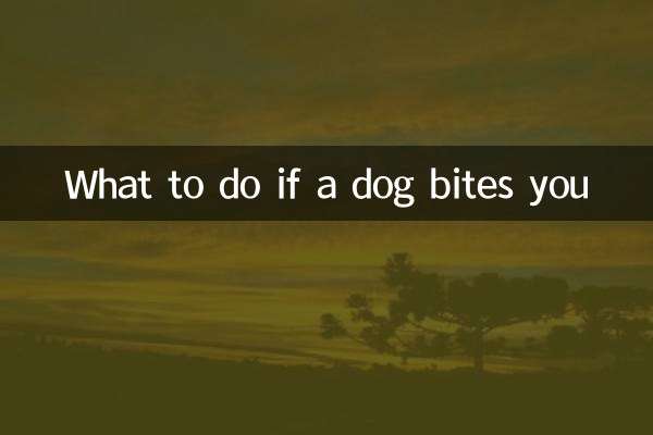 What to do if a dog bites you