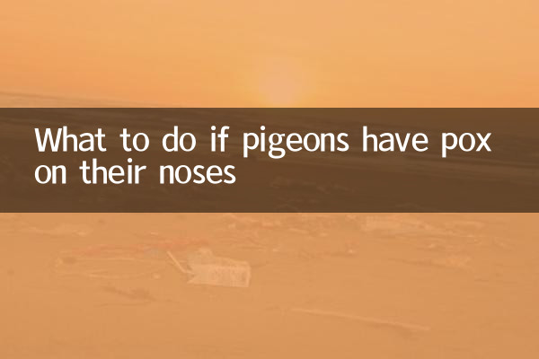 What to do if pigeons have pox on their noses