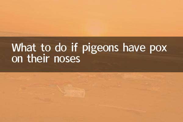 O que fazer se os pombos tiverem varíola no nariz