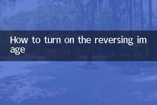 How to turn on the reversing image